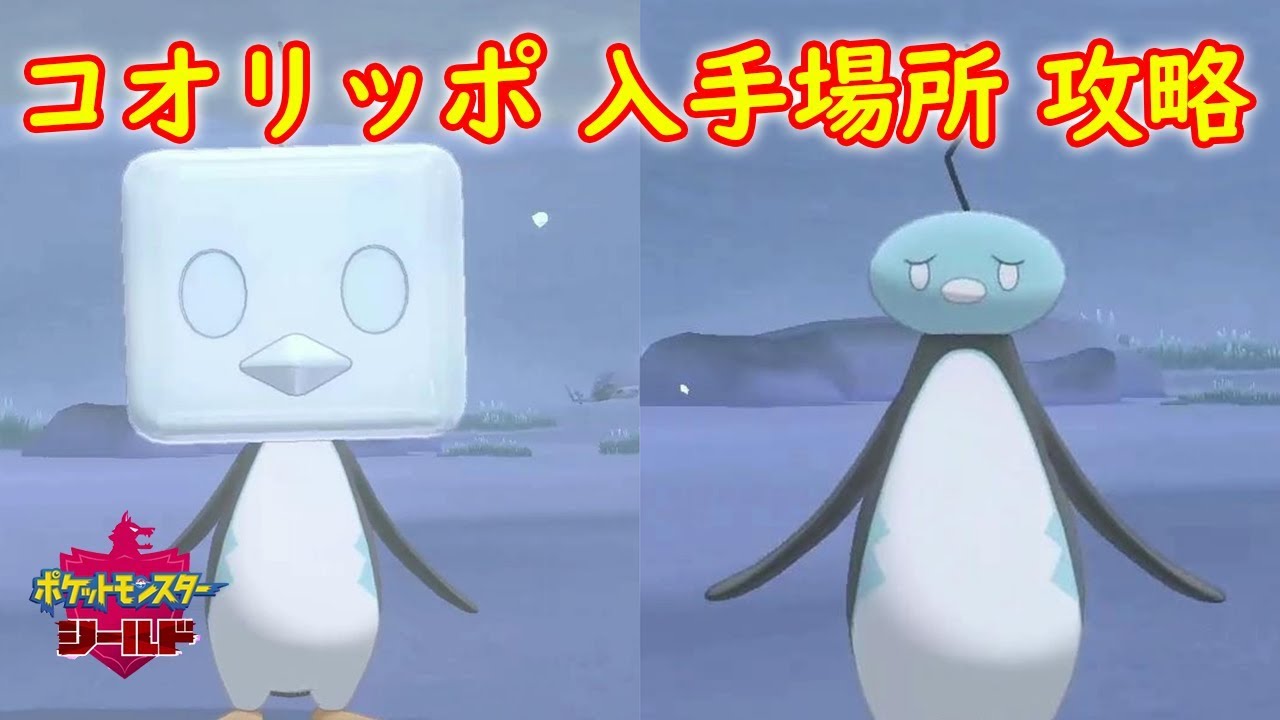 【コオリッポ】入手場所 攻略【ポケモン ソード シールド ポケモン剣盾】
