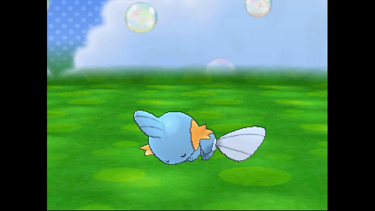 ポケパルレ　ミズゴロウと戯れるだけの動画