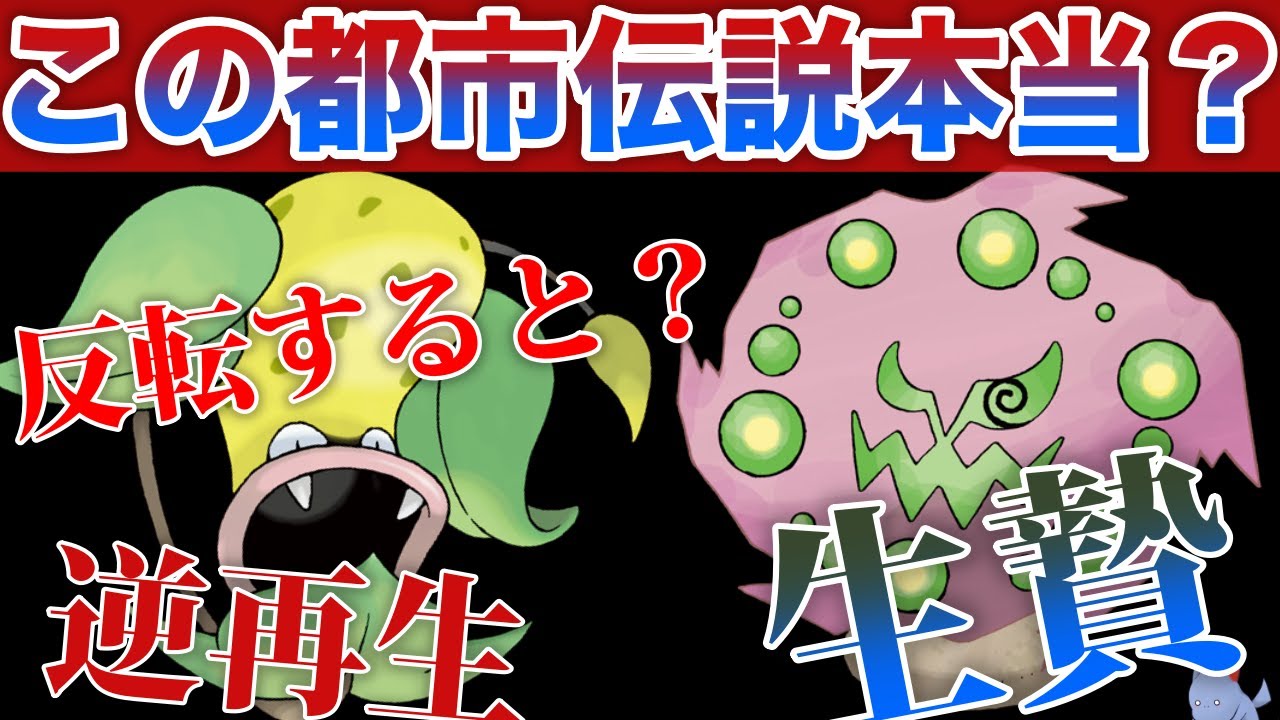 【ガチorガセ】ウツボットの意味不明な都市伝説がやばい...『ミカルゲは生贄』『ゲーチス戦BGM逆再生』などにツッコミをいれていく【ポケモン剣盾】
