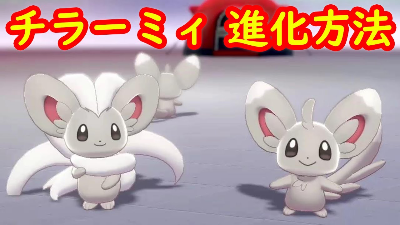 【チラーミィ → チラチーノ】進化方法 攻略 + キャンプで遊ぶ【ポケモン ソード シールド ポケモン剣盾】
