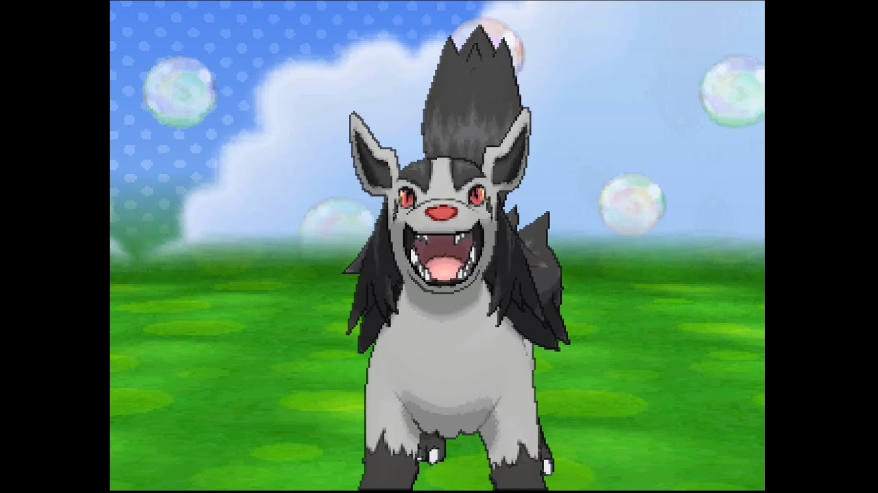 ポケパルレ　グラエナと戯れるだけの動画