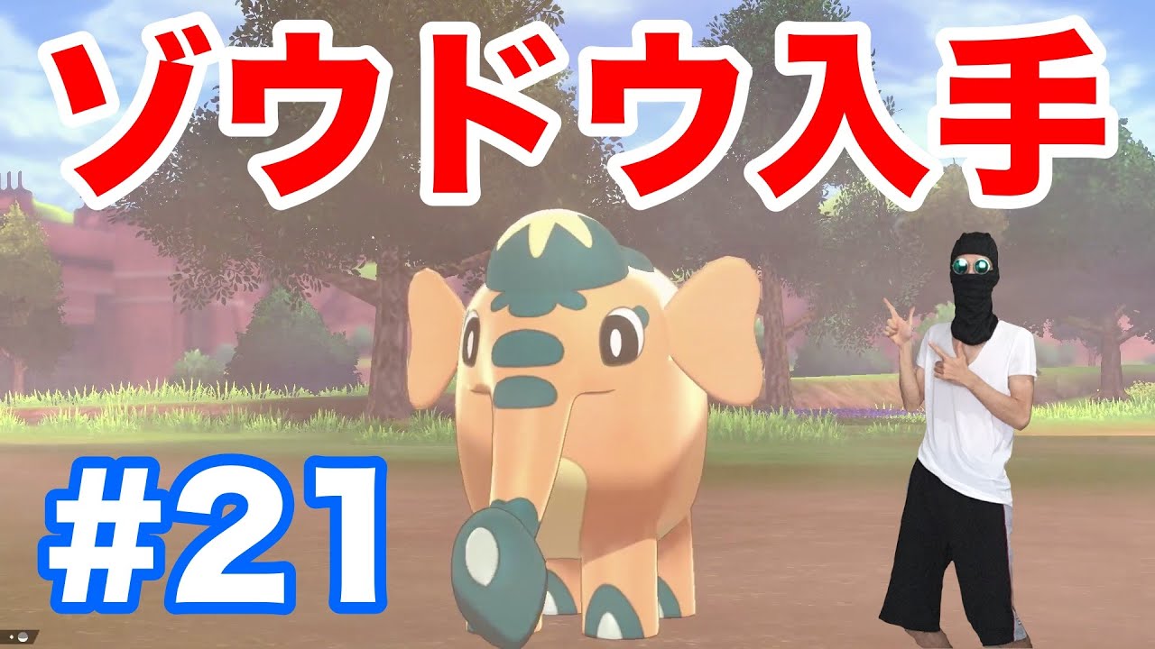 #21【ポケモンソード】"ナックルシティを目指しワイルドエリアを進む！"ゾウドウ"を苦労してゲットだぜ！【最新作の攻略実況プレイ】