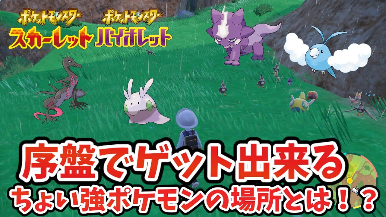 【スカーレットバイオレット】序盤プレイヤーにおすすめ！ノコッチやエンニュートなどのゲットエリアについて！【ゆっくり解説】