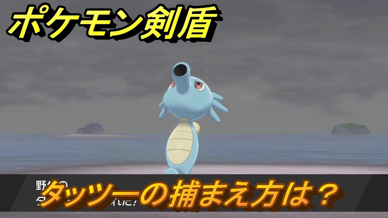 ポケモン剣盾　タッツーを捕まえる方法！オススメの場所は？天気は？ポケモン図鑑コンプへの道！　最新版【ポケモンソード・シールド】