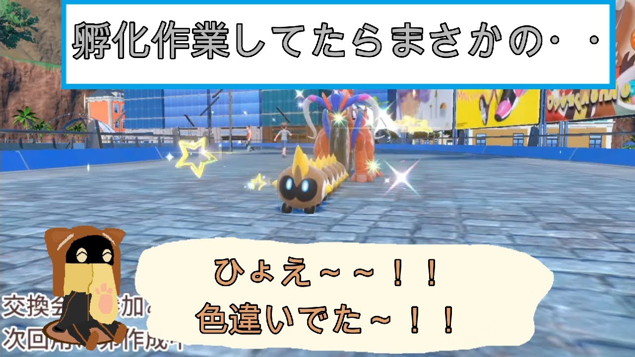 色違いのタイレーツを引き当てる豪運の１８くん！【BinTRoLL切り抜き】