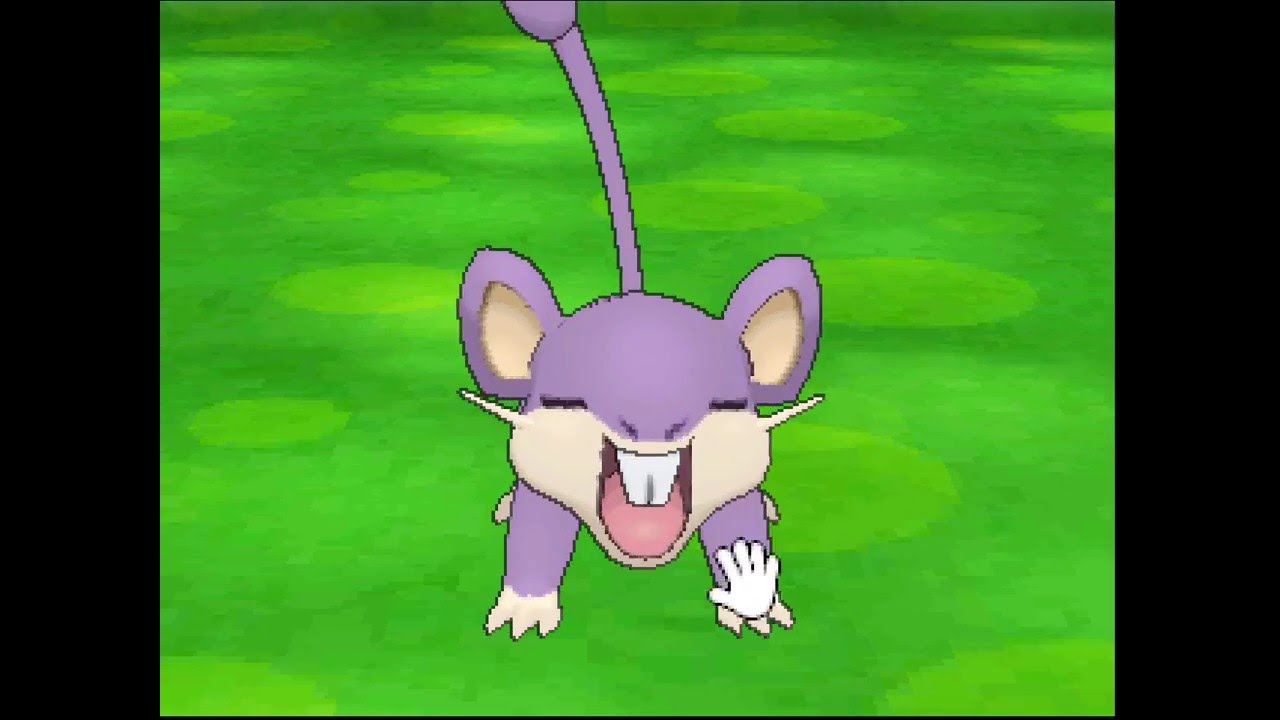 ポケパルレ　コラッタと戯れるだけの動画