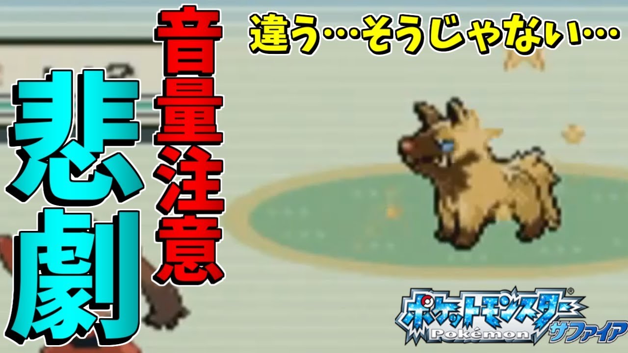 【ポケモンRSE】 悲報…色違いアチャモを粘ってたはずがなぜか色違いのポチエナが… 【サファイア色違い縛りPART1】