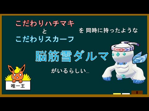 【ポケモン解説】少しわかる「脳筋雪ダルマ」講座【厨ポケ】