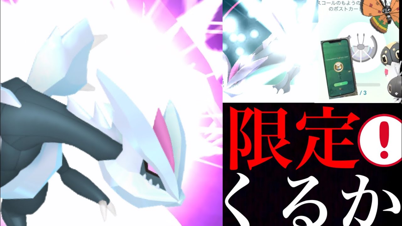 【データ解析・新技】あの〇〇超える限定技！？新たなキュレムがヤバくなる可能性・・？新機能のポストカードの重要ポイントも！【ポケモンGO・こごえるせかい・コフキムシ】