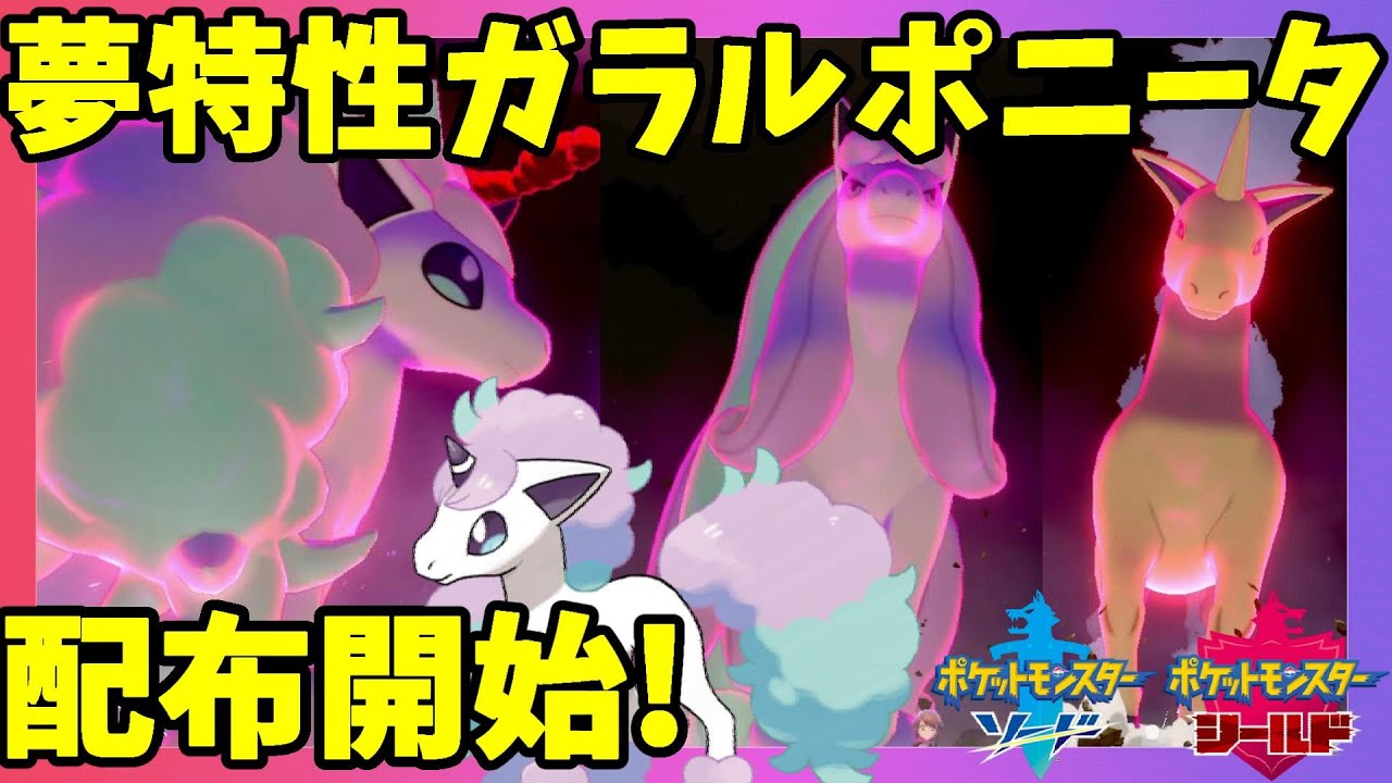 【ポケモンソードシールド】夢特性ガラルポニータプレゼント配布開始！
