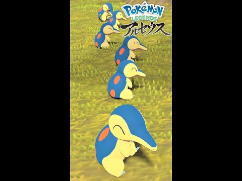 お座りがかわいいヒノアラシ６匹艦隊に癒されたい【ポケモンレジェンズアルセウス】#Shorts