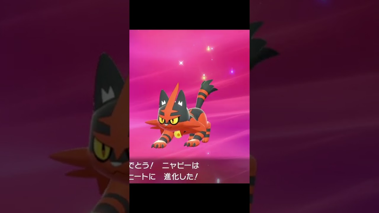ポケモン進化 ニャビー ニャヒート ガオガエン #Shorts