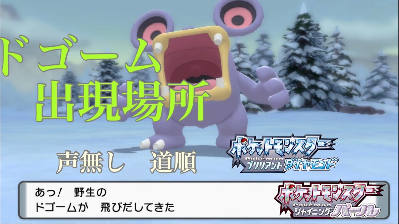 【BDSP】ドゴーム出現場所　道順【ダイパリメイク】