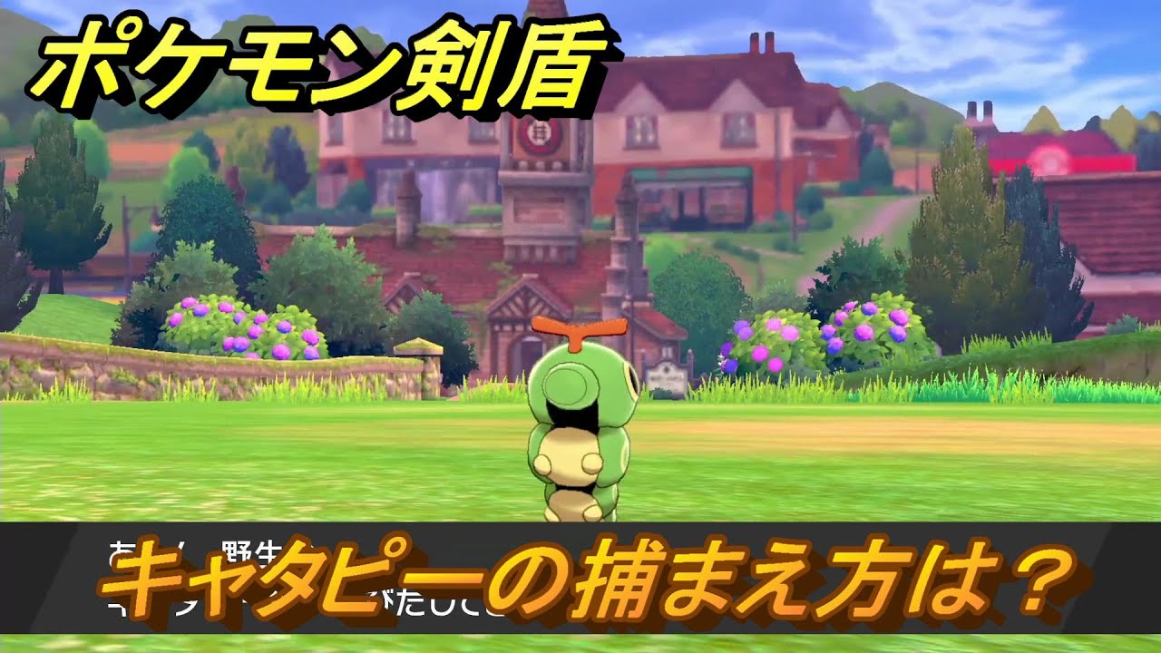 ポケモン剣盾　キャタピーを捕まえる方法！オススメの場所は？天気は？ポケモン図鑑コンプへの道！　最新版【ポケモンソード・シールド】