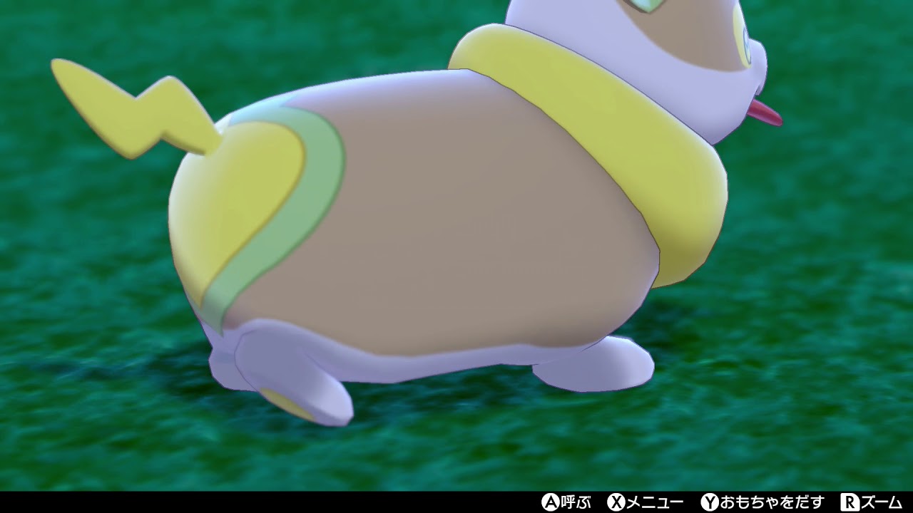 【ポケモンキャンプ】ワンパチがかわいいだけの動画（図鑑説明有り）【ポケモン剣盾/ポケモンソードシールド】