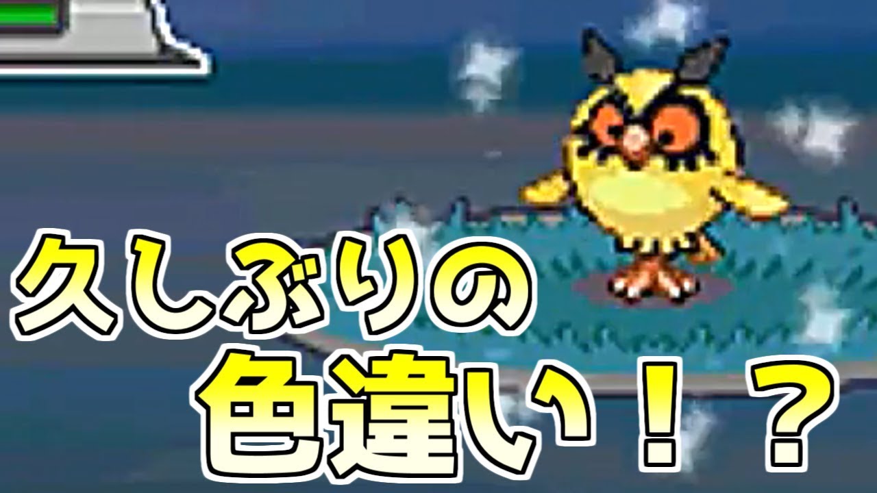 【神回】色違いホーホーを出して動揺する男【ポケモンHGSS】