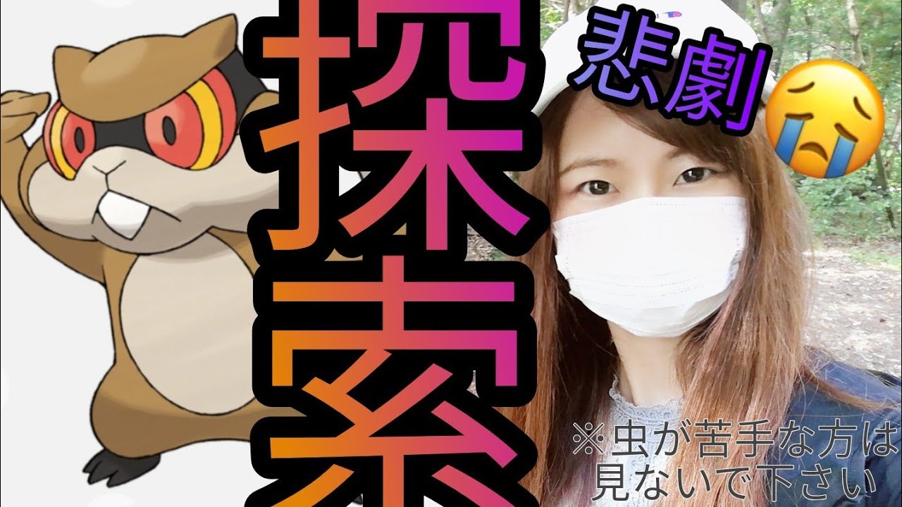 「ポケモンgo」悲劇…ミネズミの巣探索愛知県岡崎市岡崎南公園