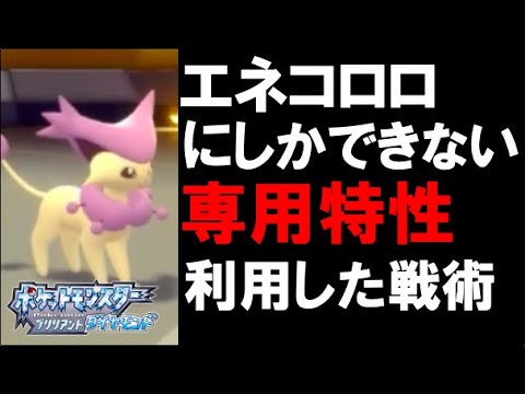 【面白ギミック#4】【唯一無二】エネコロロにしかない専用特性って知ってる？【ダイパリメイク】【ポケモンBDSP】