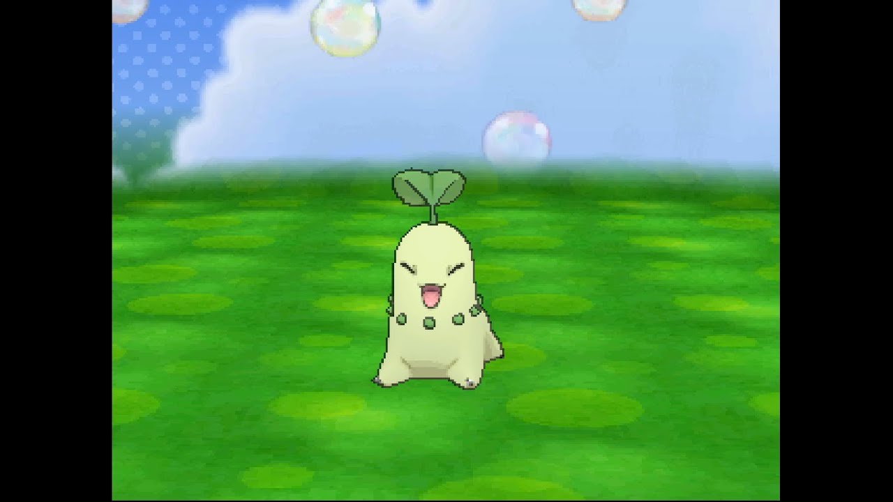 ポケパルレ　チコリータと戯れるだけの動画