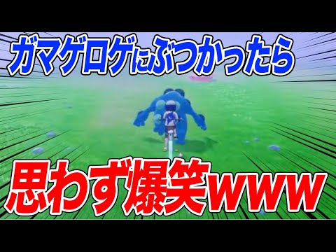【ポケモン剣盾】ぶつかったガマゲロゲがまさかｗｗｗ【ソードシールド】