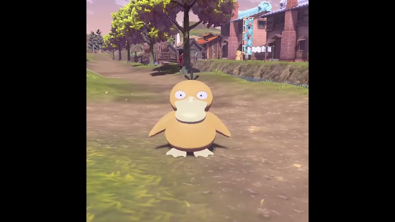 【レア】コダックを放置し続けると....　【Pokémon LEGENDS アルセウス】