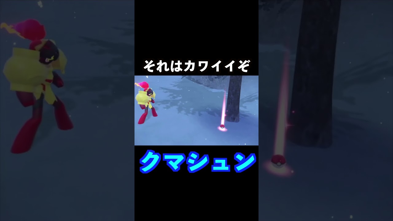 可愛いクマシュン