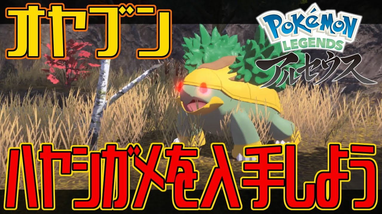 【ポケモンアルセウス】オヤブンのハヤシガメを入手しよう【Pokémon LEGENDS アルセウス】