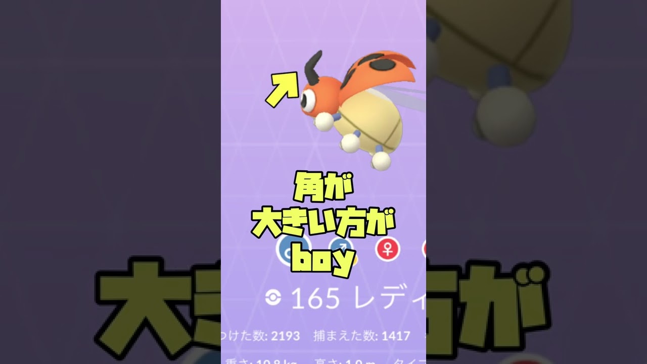 レディバのオスメスの見分け方！