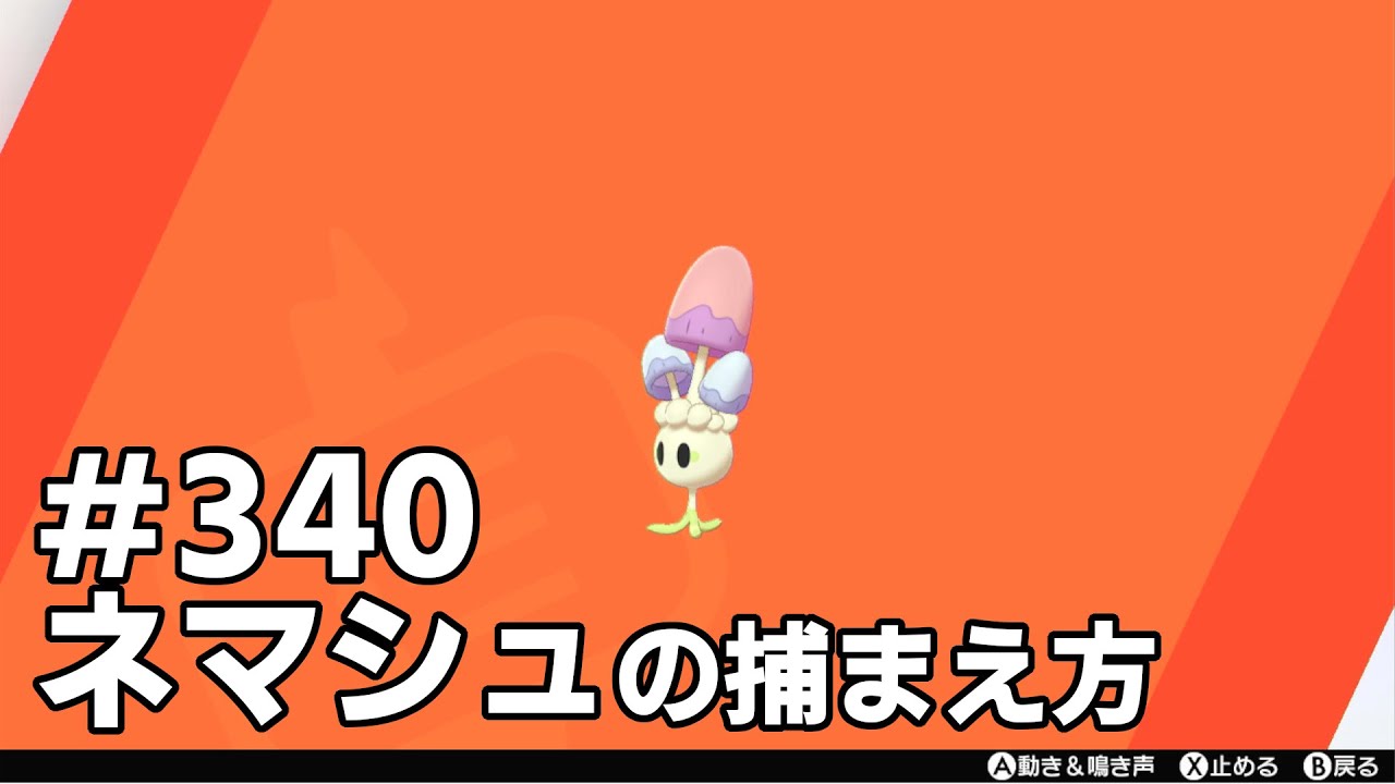 ネマシュを探している方に見てほしい動画