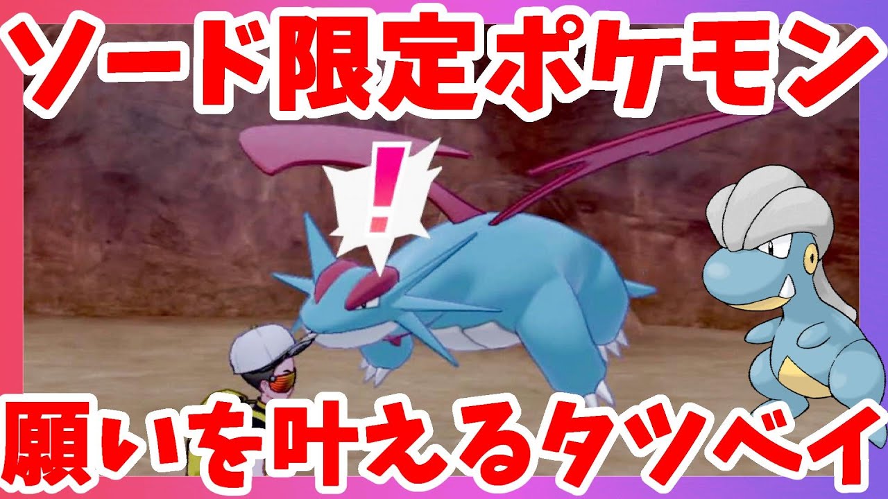 【ポケモンソードシールド】ソード限定タツベイとボーマンダ！空を飛ぶ願いを叶えたポケモン！冠の雪原【エキスパンションパス】