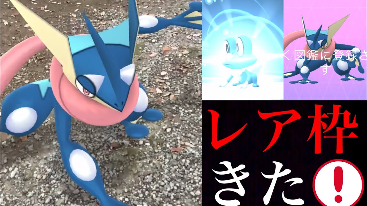 【ポケモンGO】想像以上にレア！？ついにあのゲッコウガ爆誕！ケロマツや御三家をコンプするべくチャレンジ・・。【カロス地方・セレブレーション】