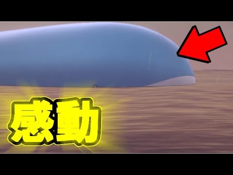 【ポケモン剣盾】ほぼ等身大の巨大ホエルオーだああああああああ【鎧の孤島】