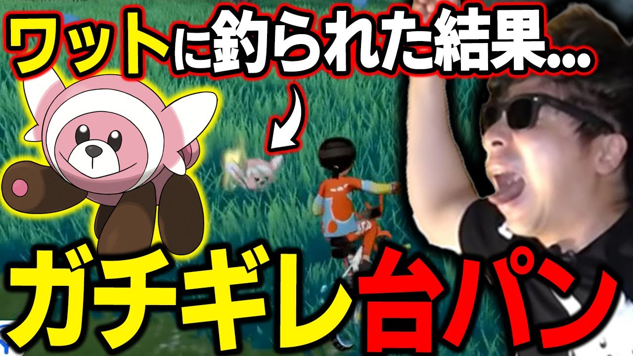 【剣盾】"ワット"に釣られた結果→強すぎるヌイコグマにｗｗｗ【もこう ポケモン 切り抜き】