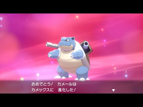 改造ポケモン ゼニガメをカメックスまで進化させてみた。ポケットモンスターソード・シールド