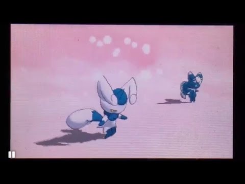【ポケモンORAS】即席 マルチバトル ニャオニクス夫婦