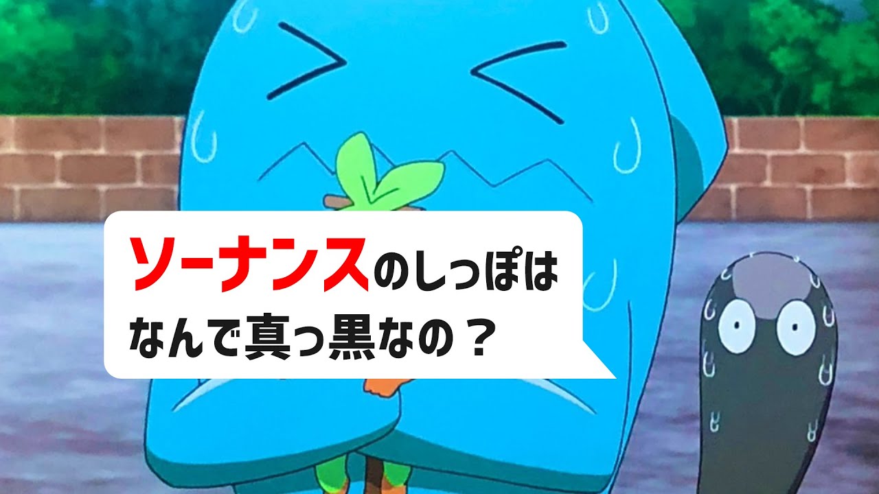 ソーナンスのしっぽは何で黒いの？｜ポケモン剣盾、ポケモンgo #Shorts