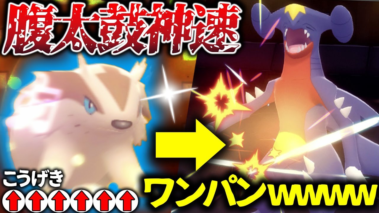 【超危険⚠️マッスグマの特権がバグレベルだと話題に！！】攻撃"6段階上昇"➡︎タイプ一致神速があまりにも最強すぎておもろいwwwwwwww【ビエラ ポケモン BDSP】