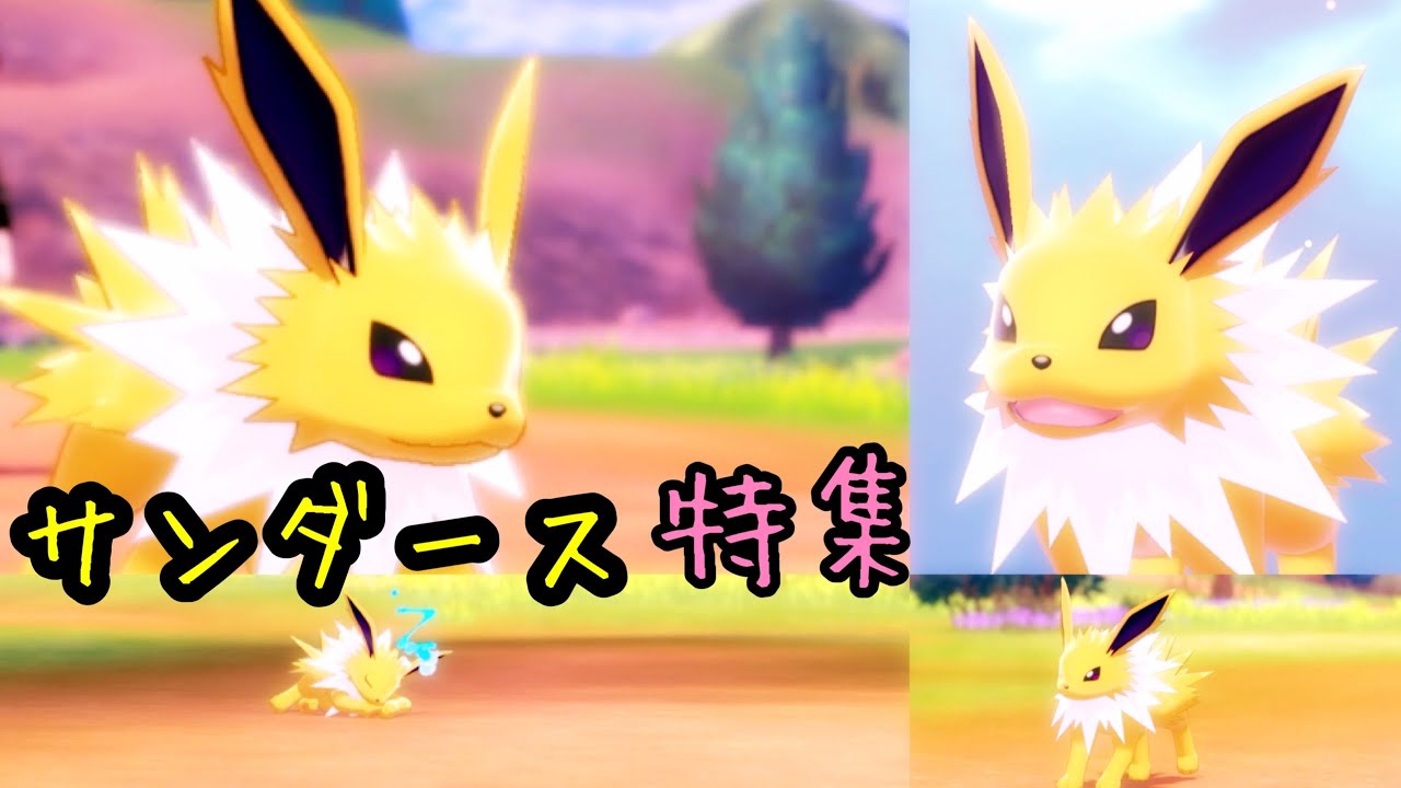 【ポケモンキャンプ#15】可愛い &カッコいいサンダース特集♡