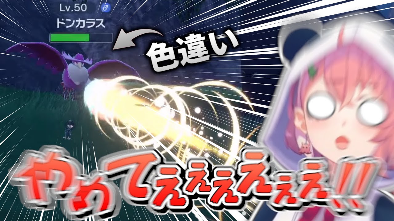 笹木咲、色違いのドンカラスを不慮の事故で倒してしまい絶望【ポケモンSV】