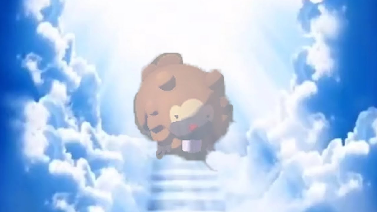 ポケットモンスタービッパ