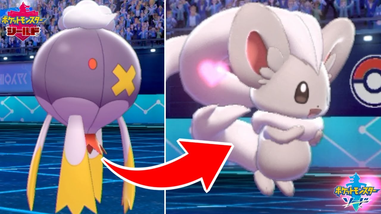 更にチラチーノで害悪プレイしようとした結果ｗｗｗｗ【ポケモン剣盾】