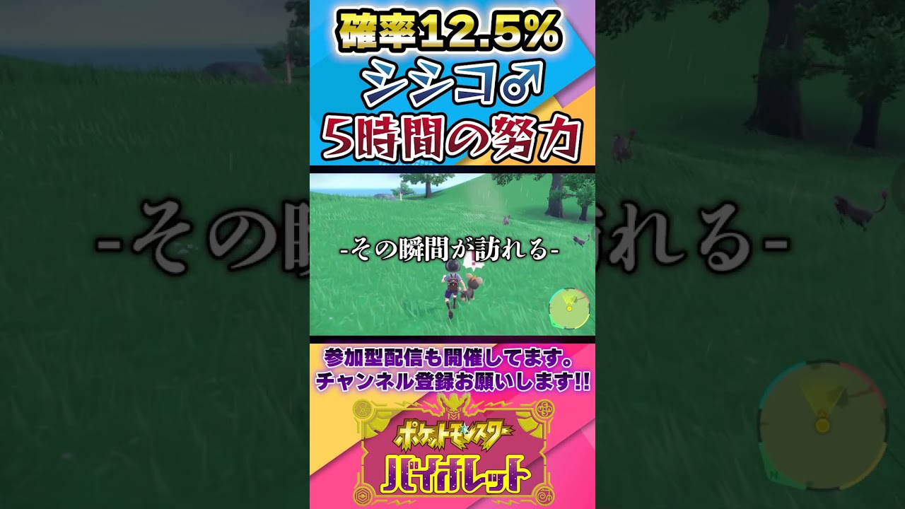 【ポケモンSV】シシコのオス出現確率"12.5%"を探した結果...【スカーレット・バイオレット】#Shorts