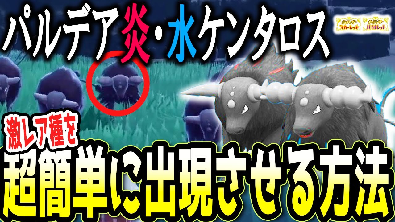 【徹底解説】超激レアの炎・水パルデアケンタロスを一瞬で捕まえる方法はこれだ！！！【ポケモンSV】