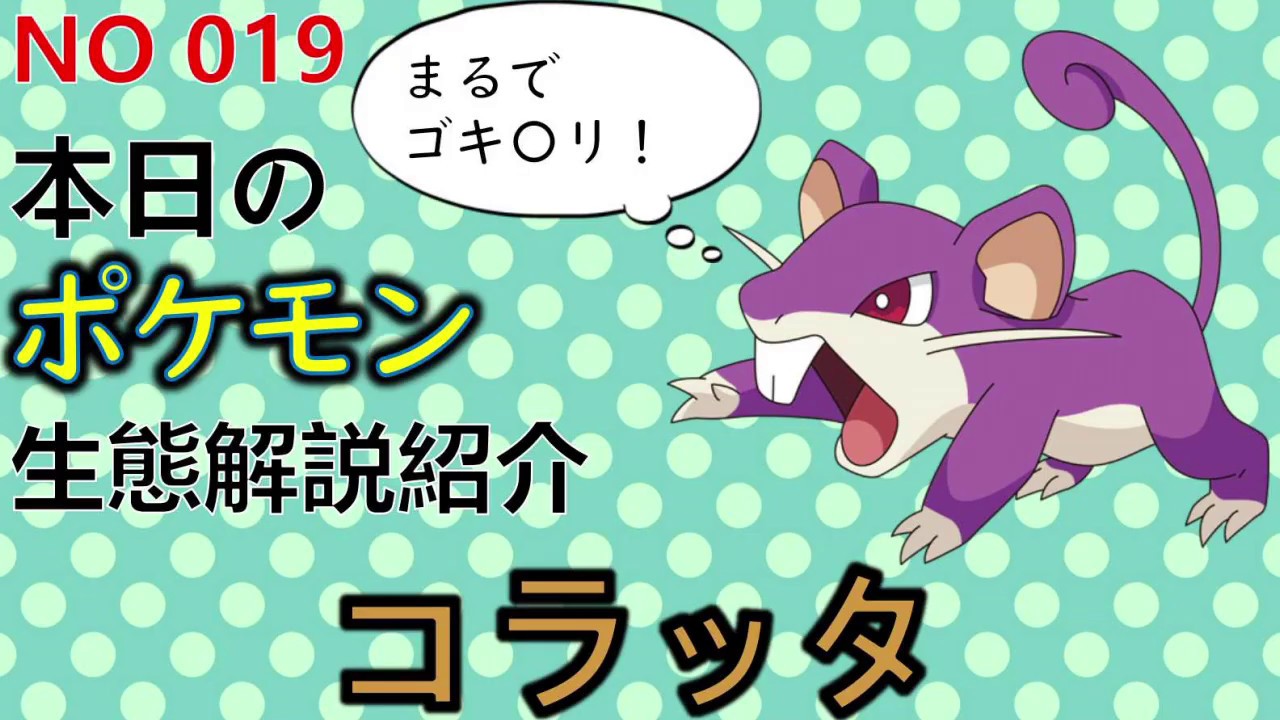 【考察】 「ポケモン解説」ポケモン社会問題 コラッタの生態と小ネタ解説 019「ゆっくり実況ポケモン図鑑」 平日18時30分毎日投稿中！ 【ポケモン図鑑詳細版】
