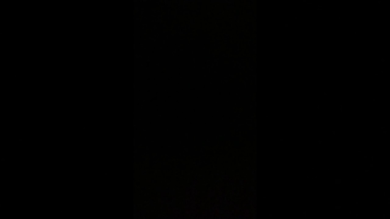 【そこそこ貴重】ポチエナの鳴き声