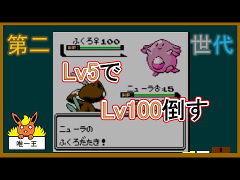 【小話】Lv5ニューラでLv100ラッキーを倒したい【ポケモンゆっくり解説】