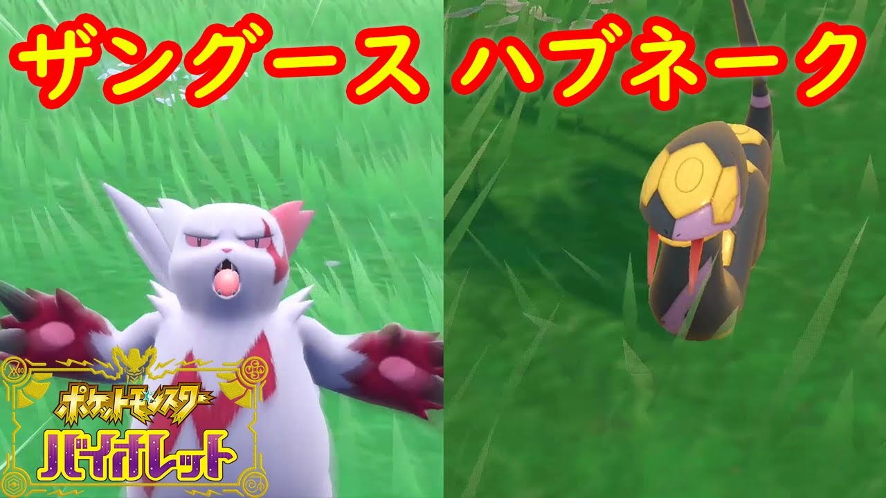 【ザングース ハブネーク】出現場所 入手方法 攻略【ポケモン スカーレット・バイオレット】