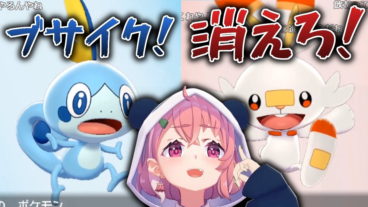 初対面のヒバニーとメッソンをボロカスに言うシーン【ポケモンシールド】