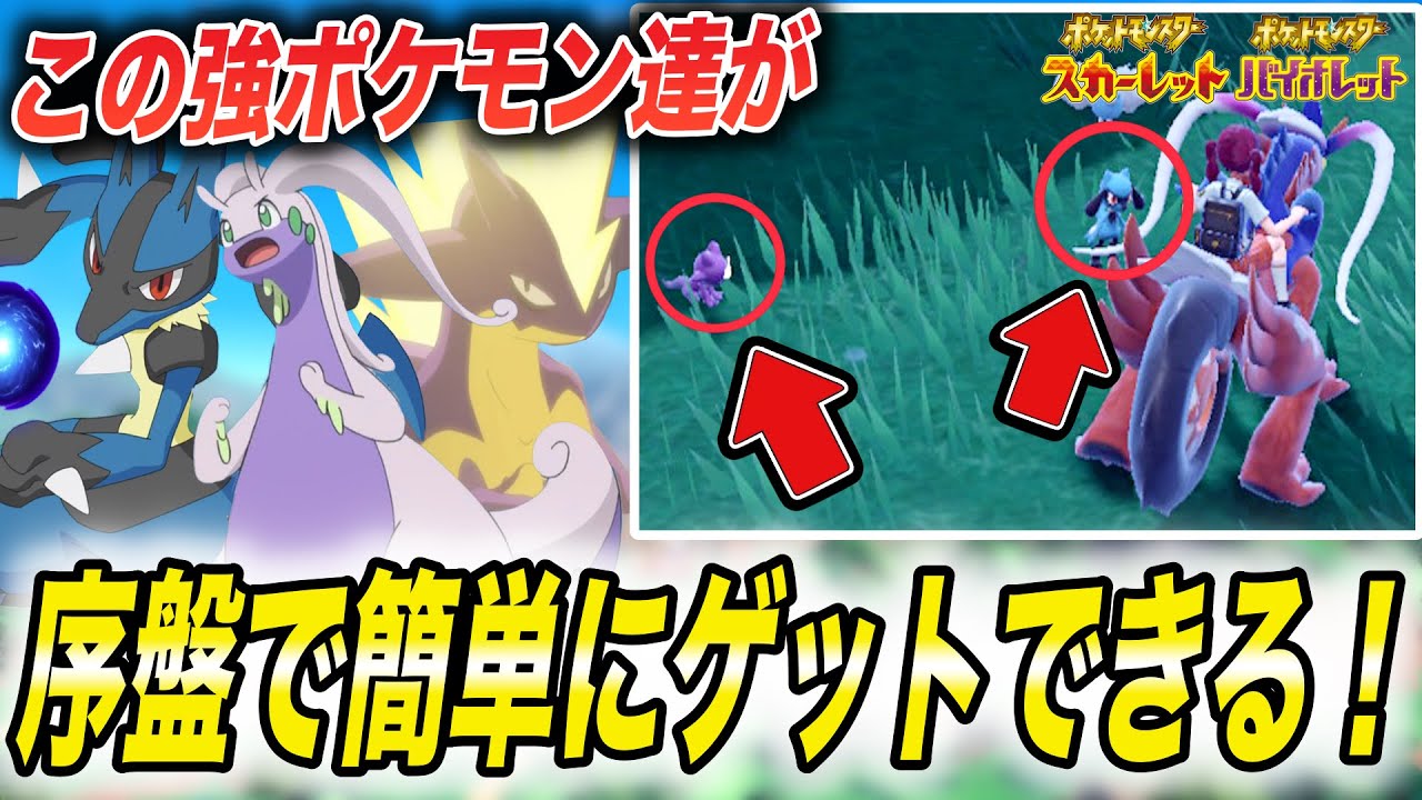 【最新攻略】SV始めたらまずここに行け！強ポケモンが序盤で手に入る件が衝撃的だった！！！！【SV】【ポケットモンスタースカーレットバイオレット】【リオル】【エレズン】【アニポケ考察】【はるかっと】