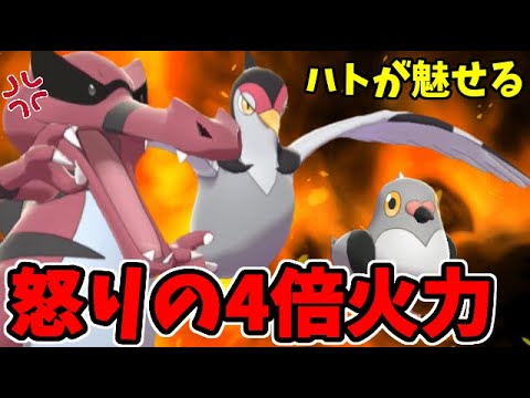 【ポケモン剣盾】ハトが大活躍!? 怒りの4倍超火力パーティ!!【謎のアブソルもいるぞ】